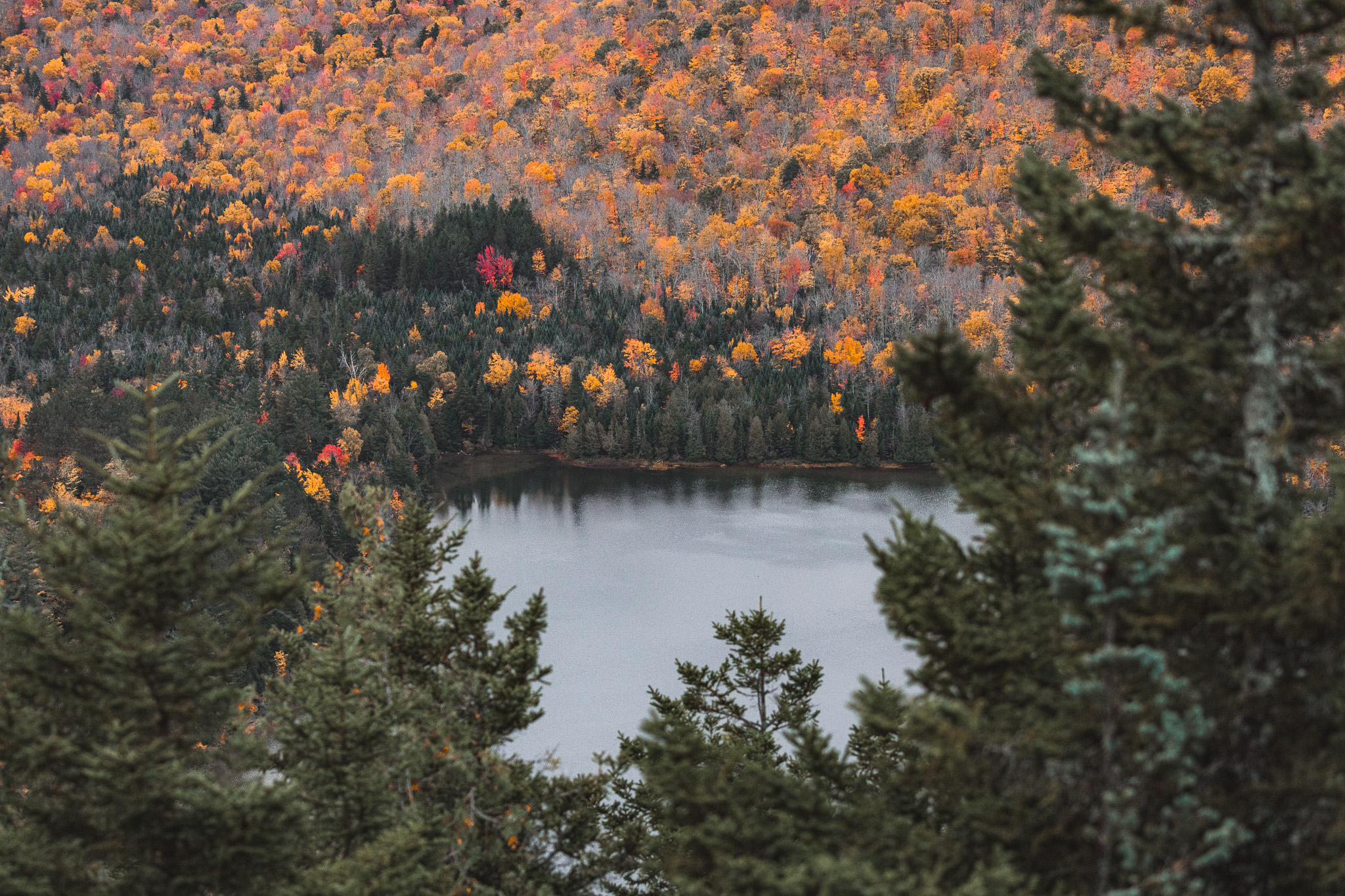 A close-up view of Heart Lake with fall foliage from the summit of Mount Jo