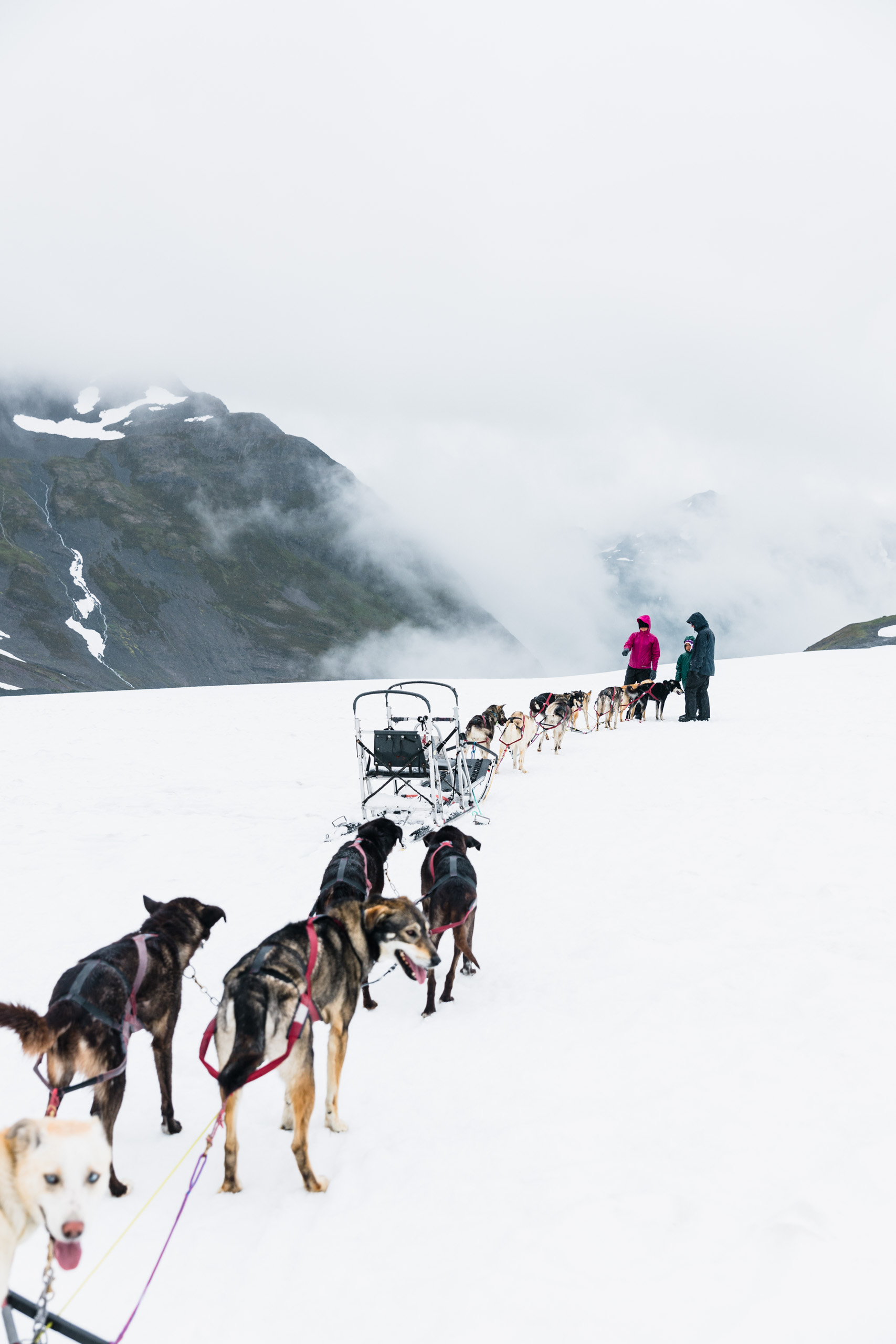 3 people standing in front of dogsled