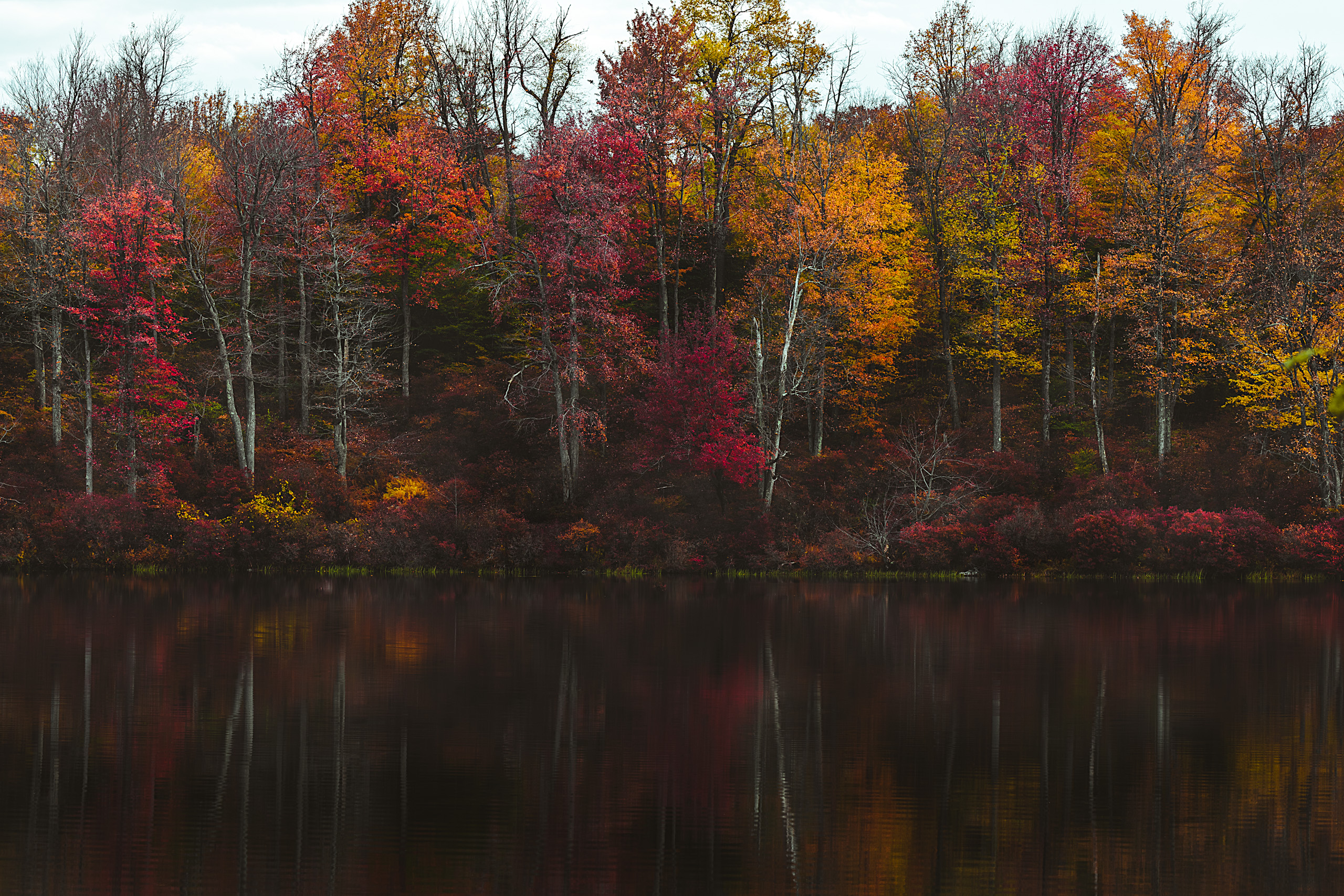 Fall foliage reflected in the water at Lake Jean