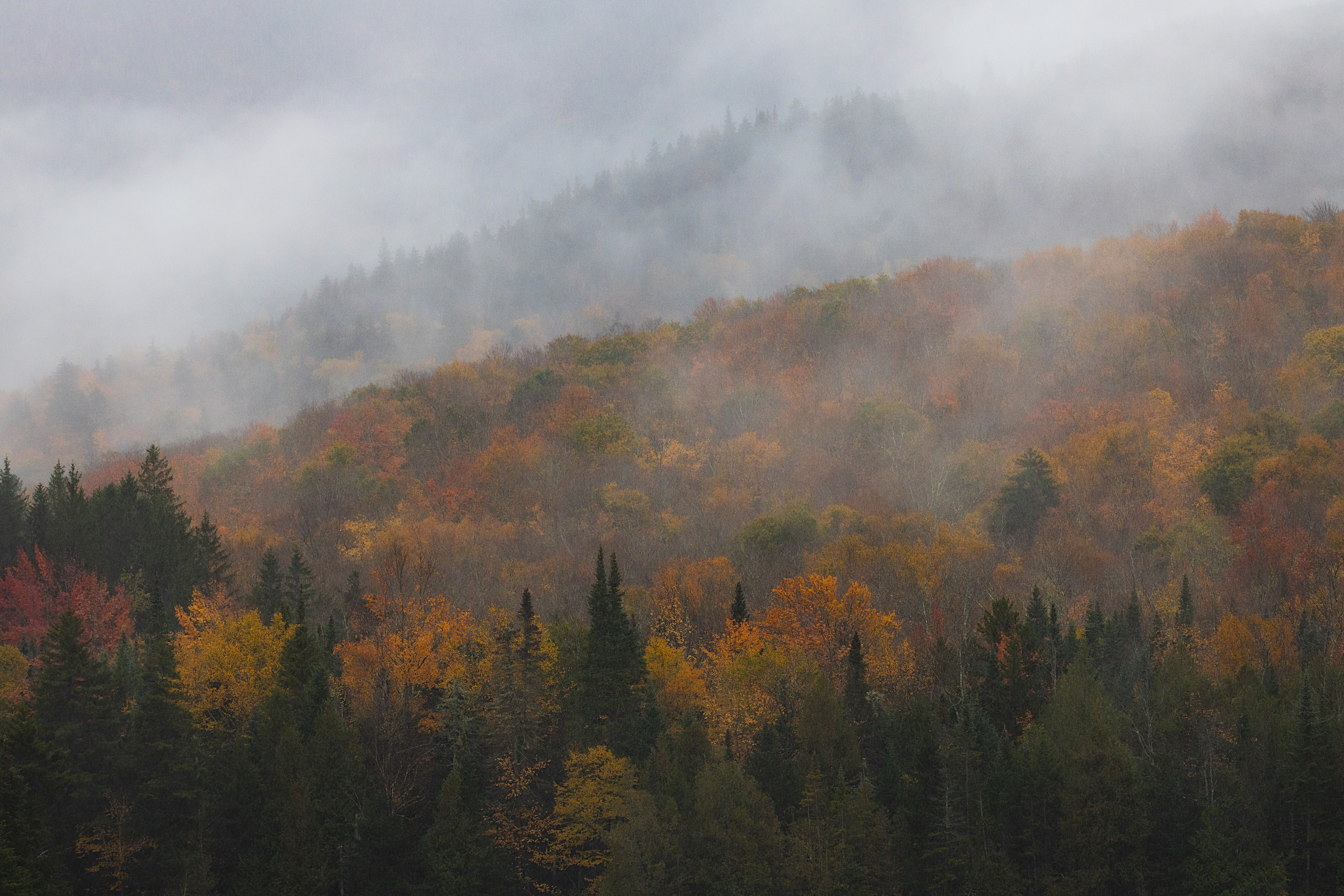 Foggy layers of fall foliage at Heart Lake