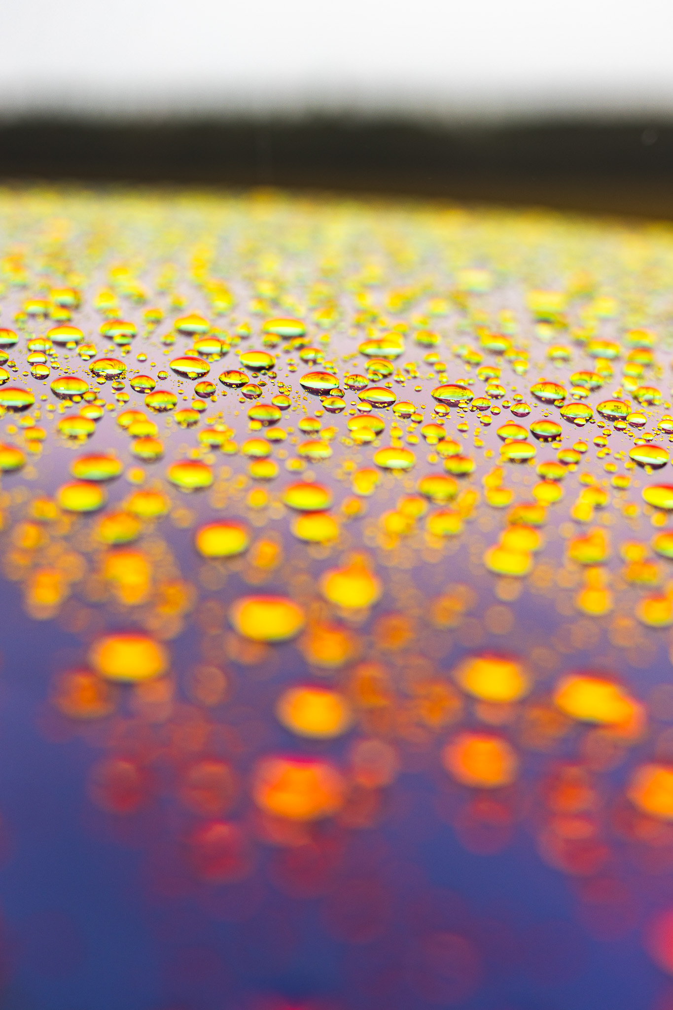 Tesla roof with water droplets