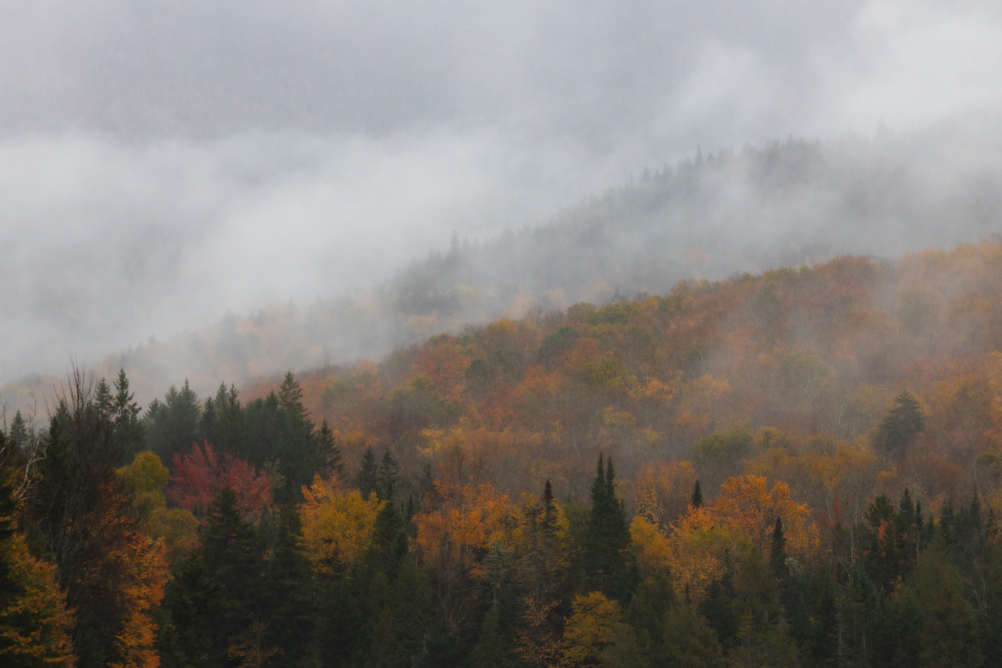 Foggy Adirondack mountain layers