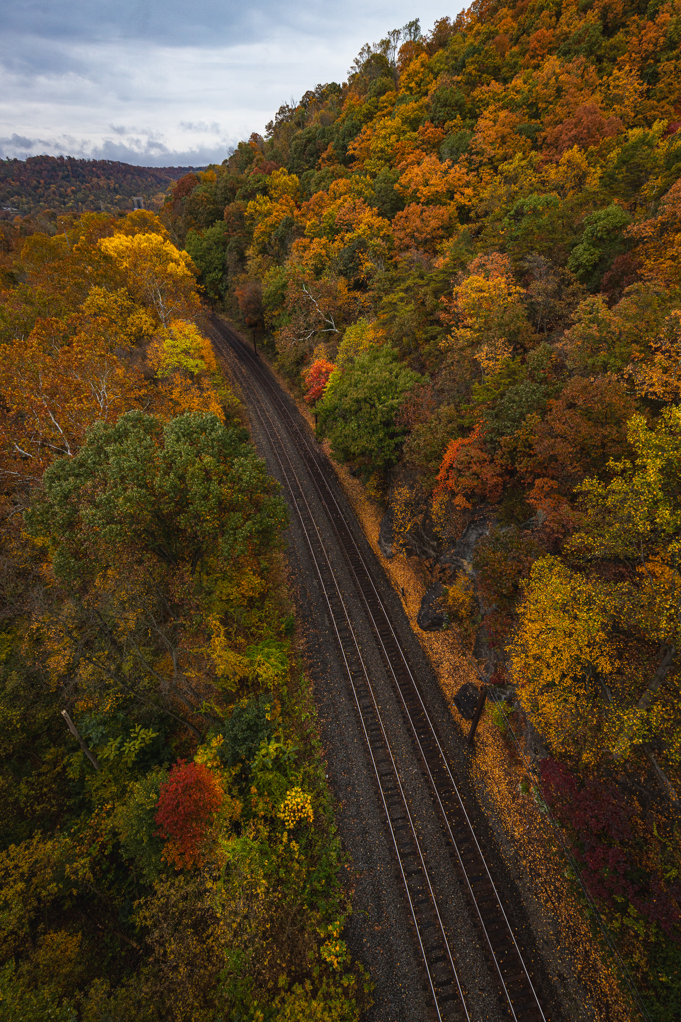 Railroad cutting through fall foliage