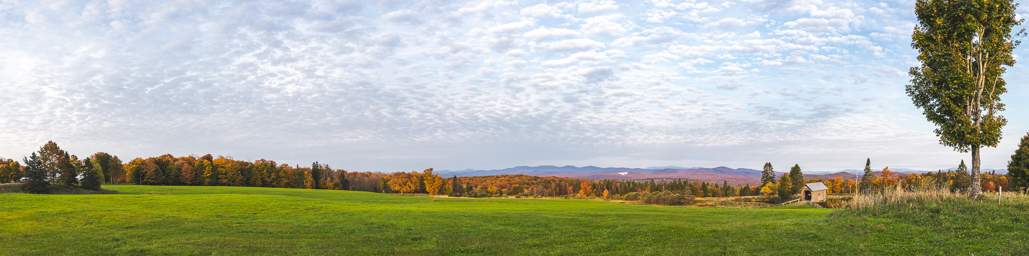 A panorama of the A.M. Foster Covered Bridge and its setting within foliage