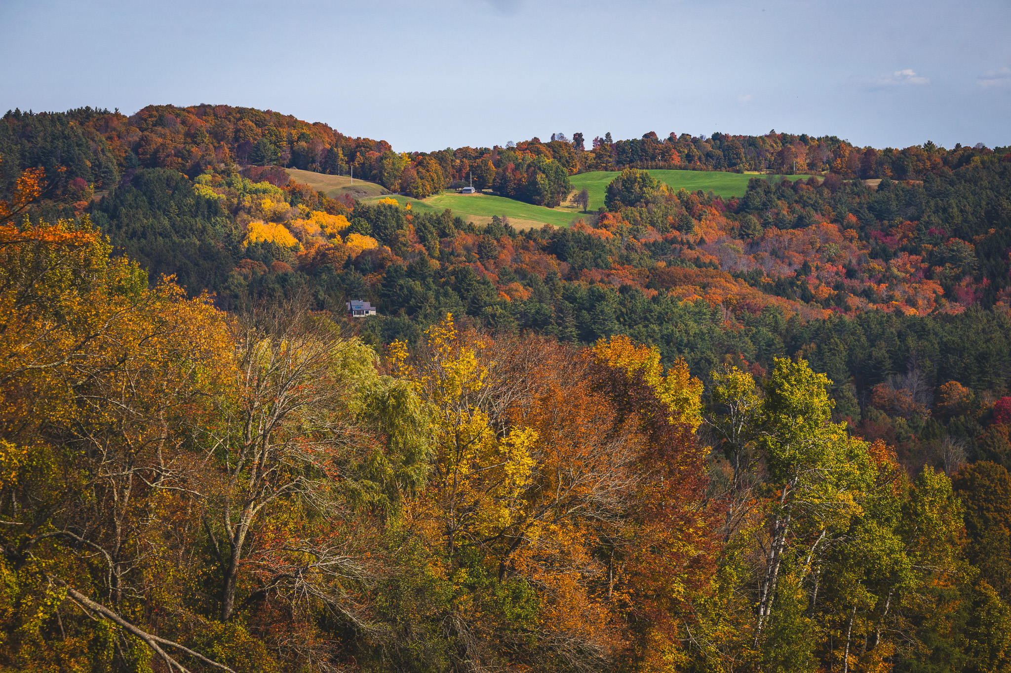 Green hills covered with orange, red, and yellow foliage