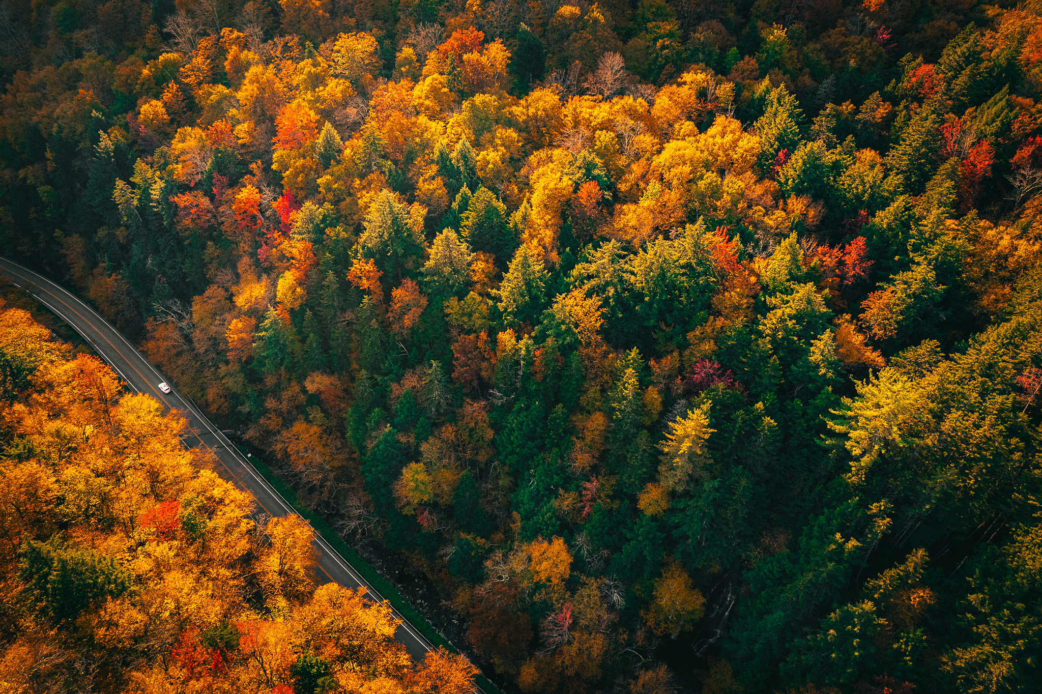 Overhead shot of Vermont’s Route 100 with a lone car driving on the road