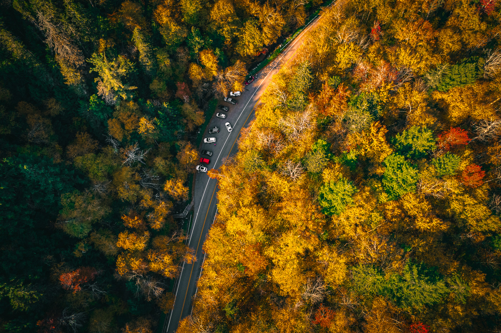 Top down photo of Vermont’s curved Route 100 in between orange, yellow, red, and green foliage on either side