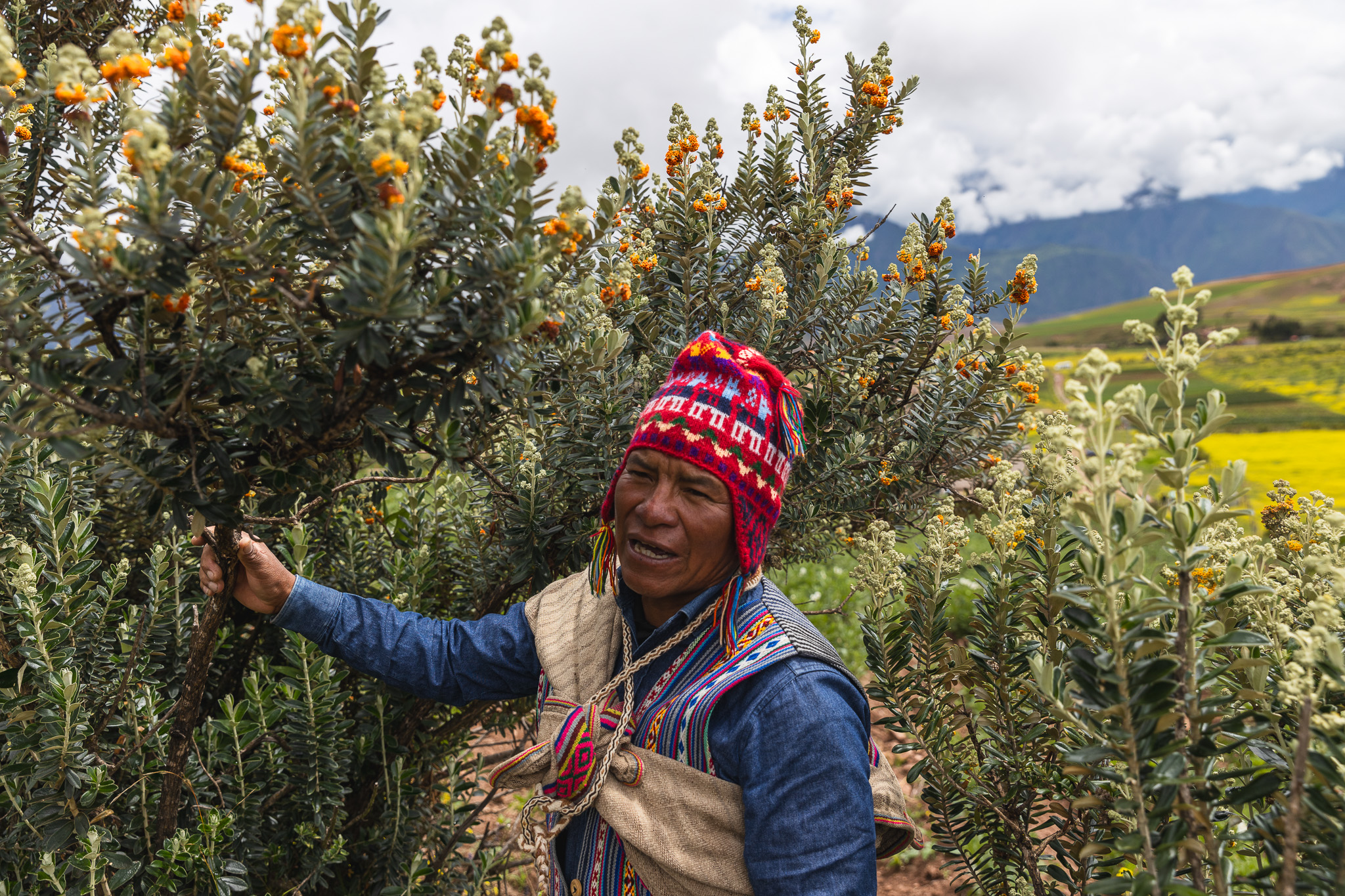 Efrain shows the local flora