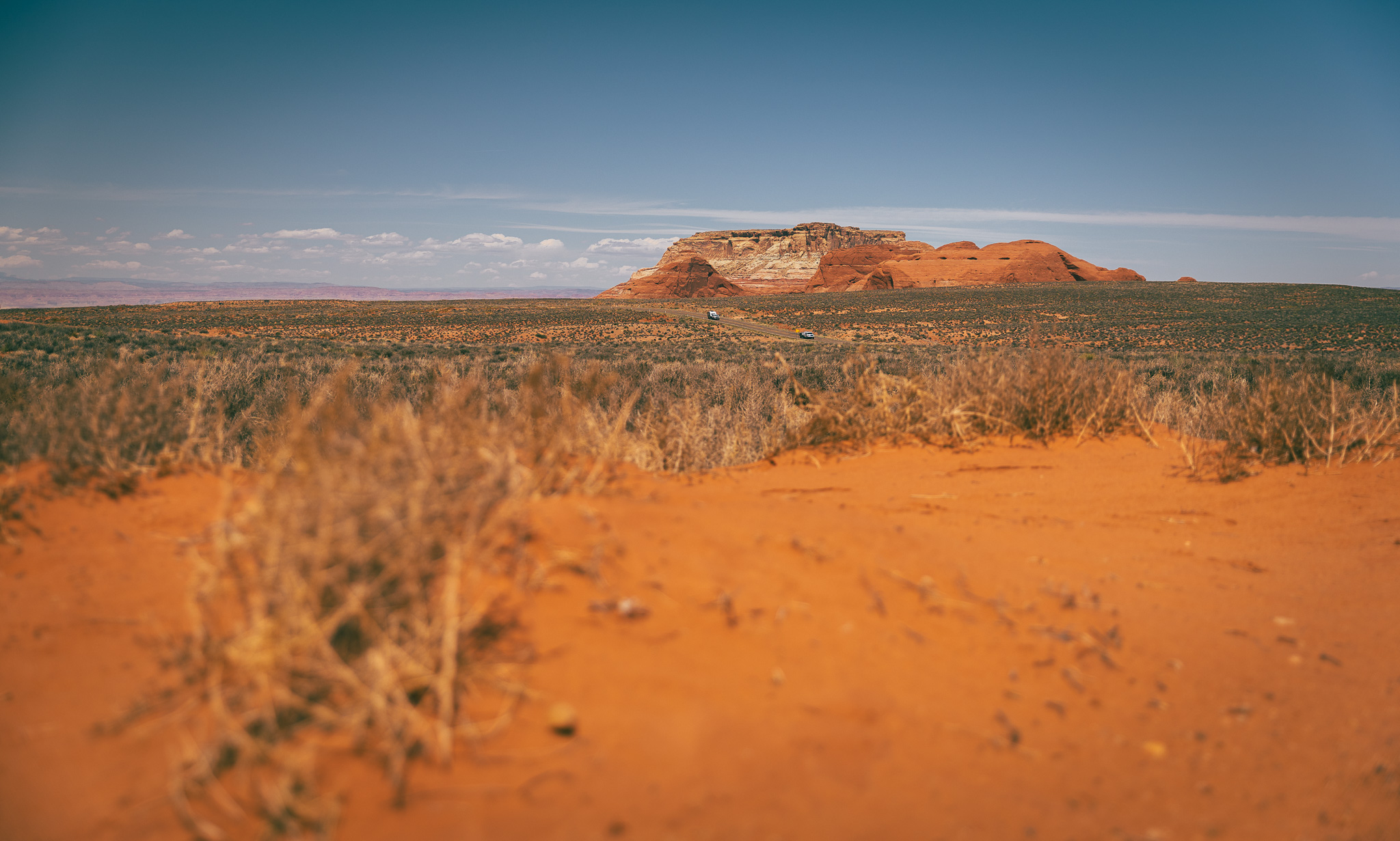 Desert scenery with a canyon in the background