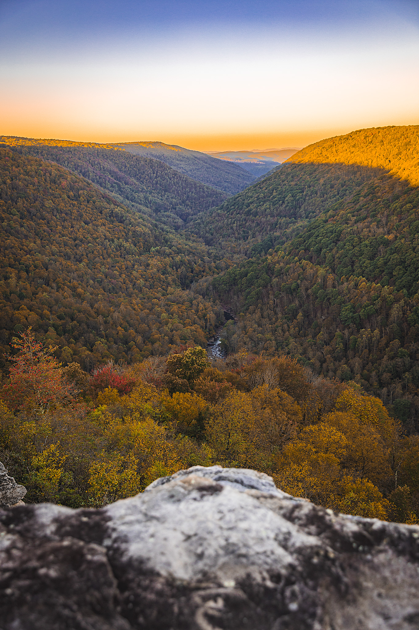 West Virginia fall foliage with a rock in the foreground