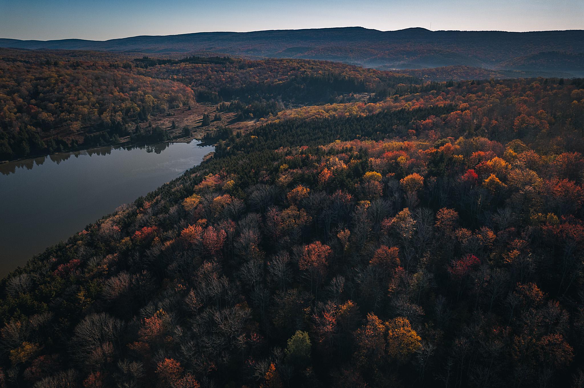 Drone shot of fall foliage with a lake in the foreground
