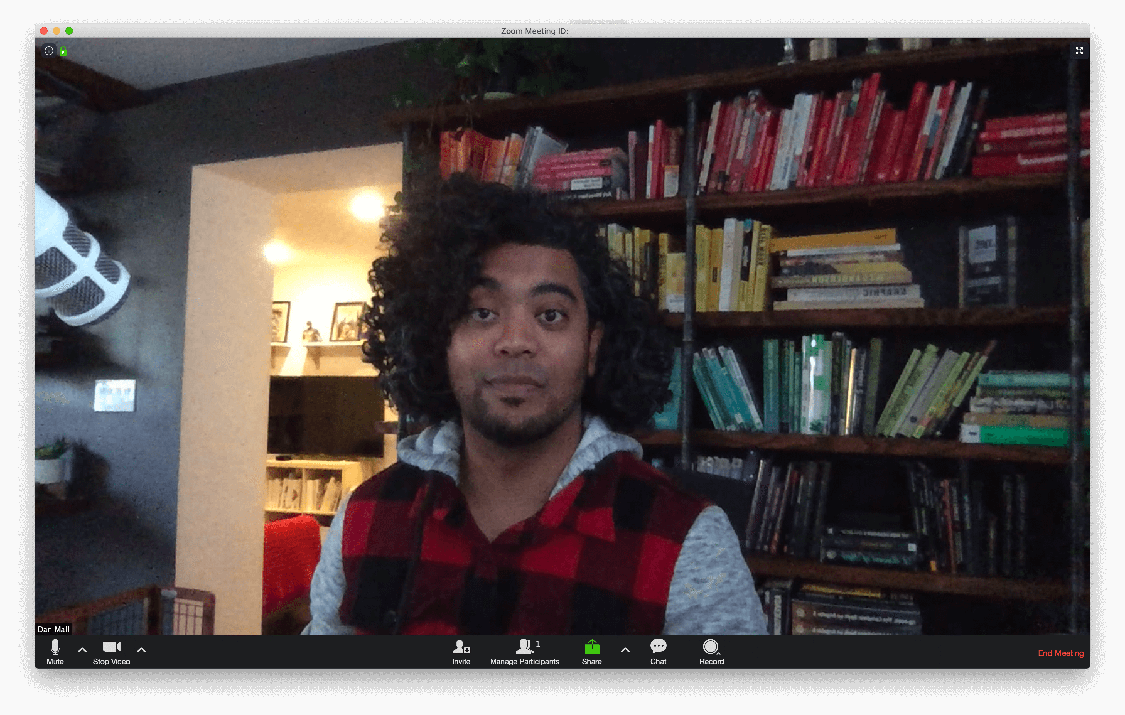 Video call image from MacBook Pro built-in FaceTime camera
