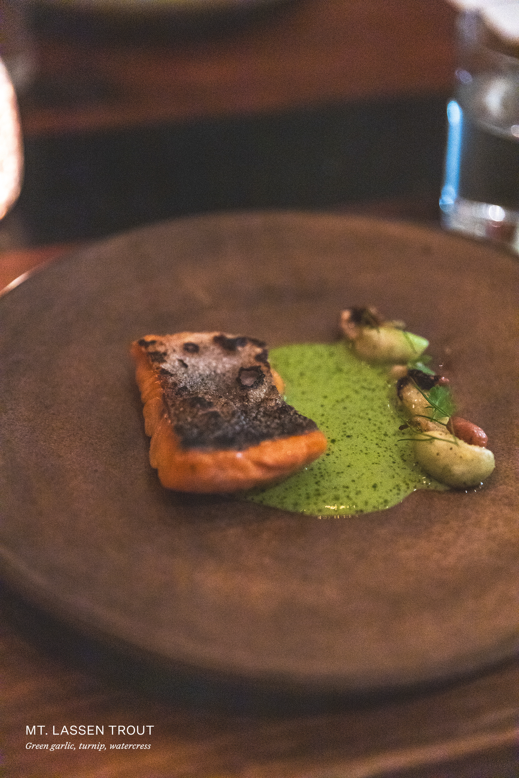 Mt. Lassen Trout with green garlic, turnip, and watercress